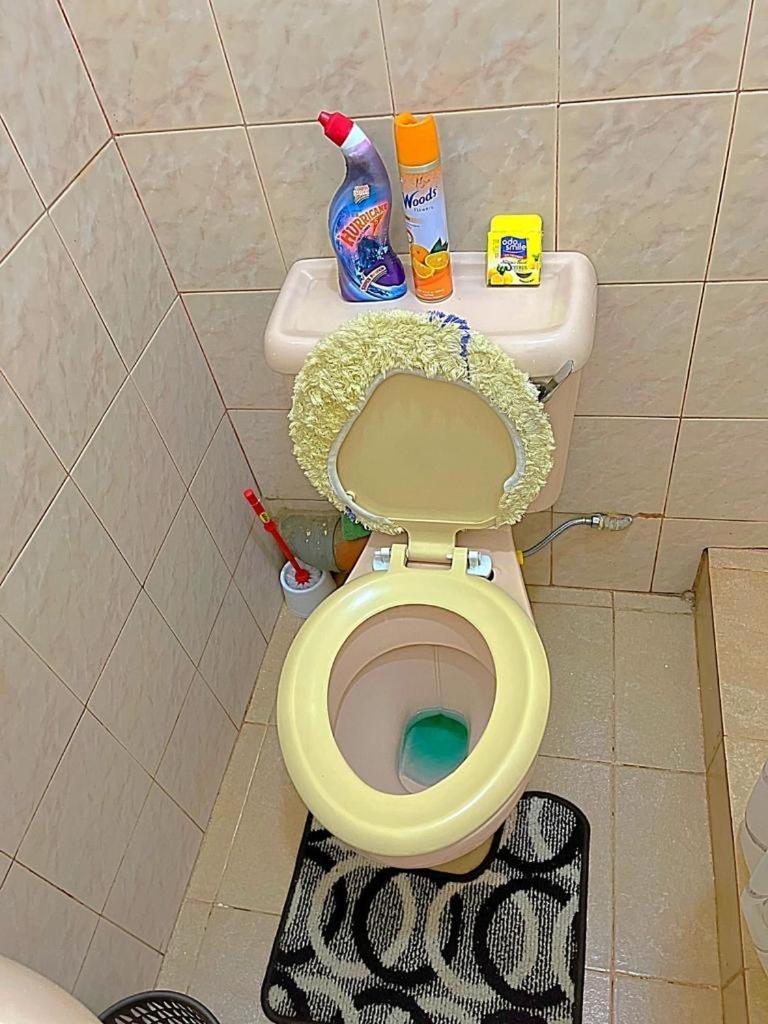 Homely 3 * Kisumu